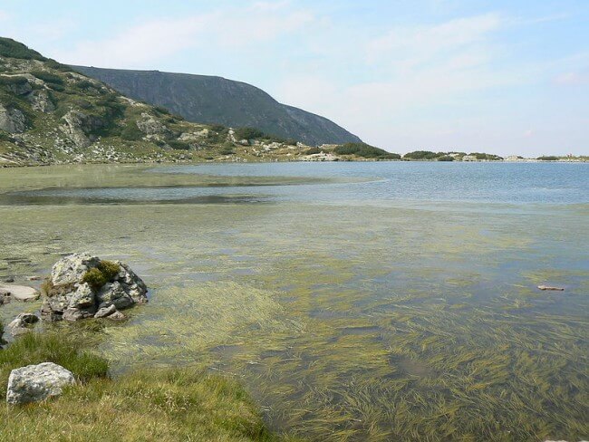 The Fish lake